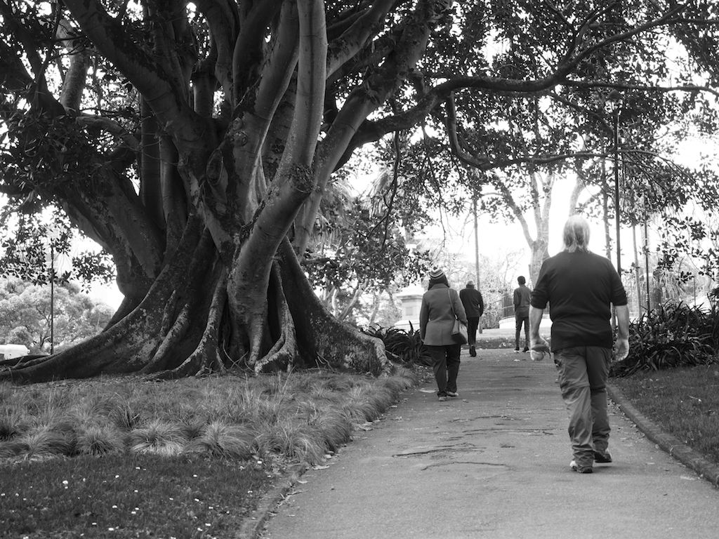 Albert Park - black & white - Street Photography Auckland