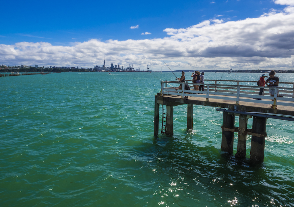 Okahu Quay Fishing
