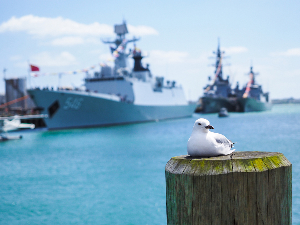 Wynyard Quarter Seagull & Navy Ships