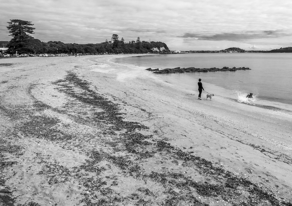 St-Heliers Beach - Black & White