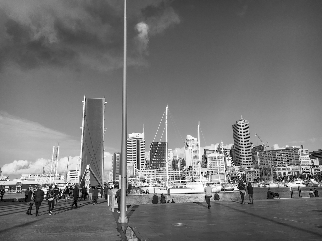 Viaduct Harbour Bridge - Black & White