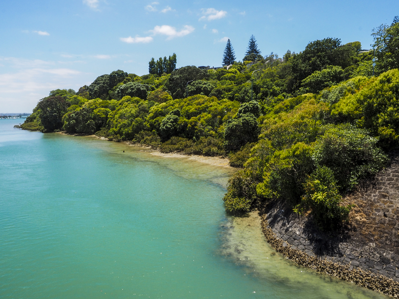 Orakei Waterfront - Street Photography Auckland