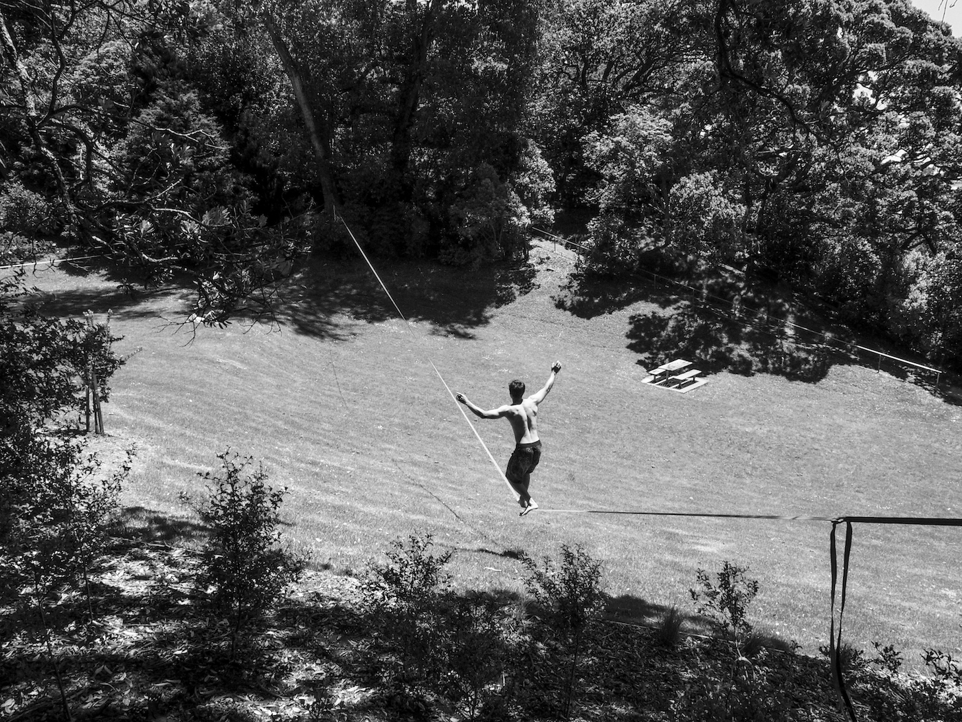 Parnell Dove Myer Robinson Park