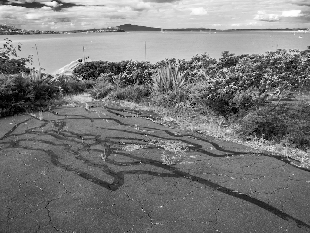 Parnell Ocean View - Street Photography