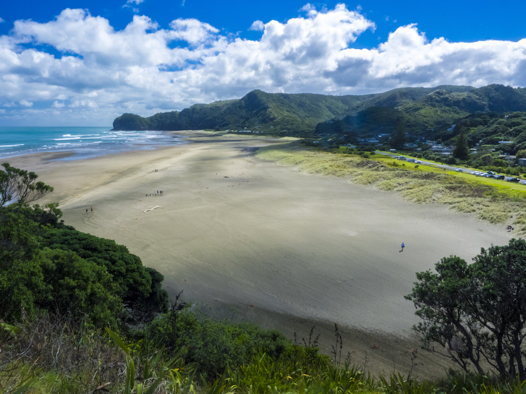 Piha Beach View - Landscape Photography Auckland