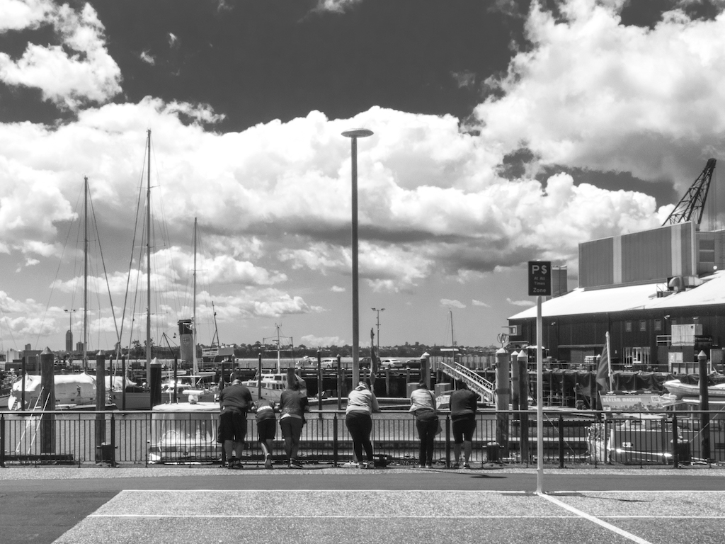 Viaduct Harbour