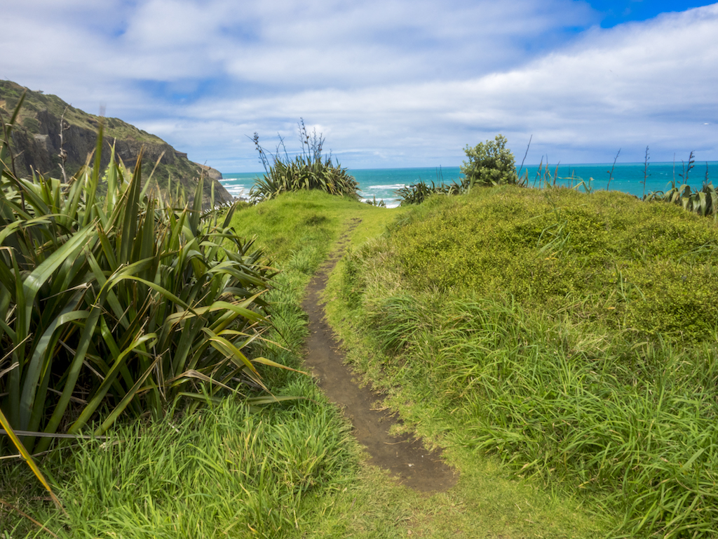 Westcoast Green Hills - Landscape Photography