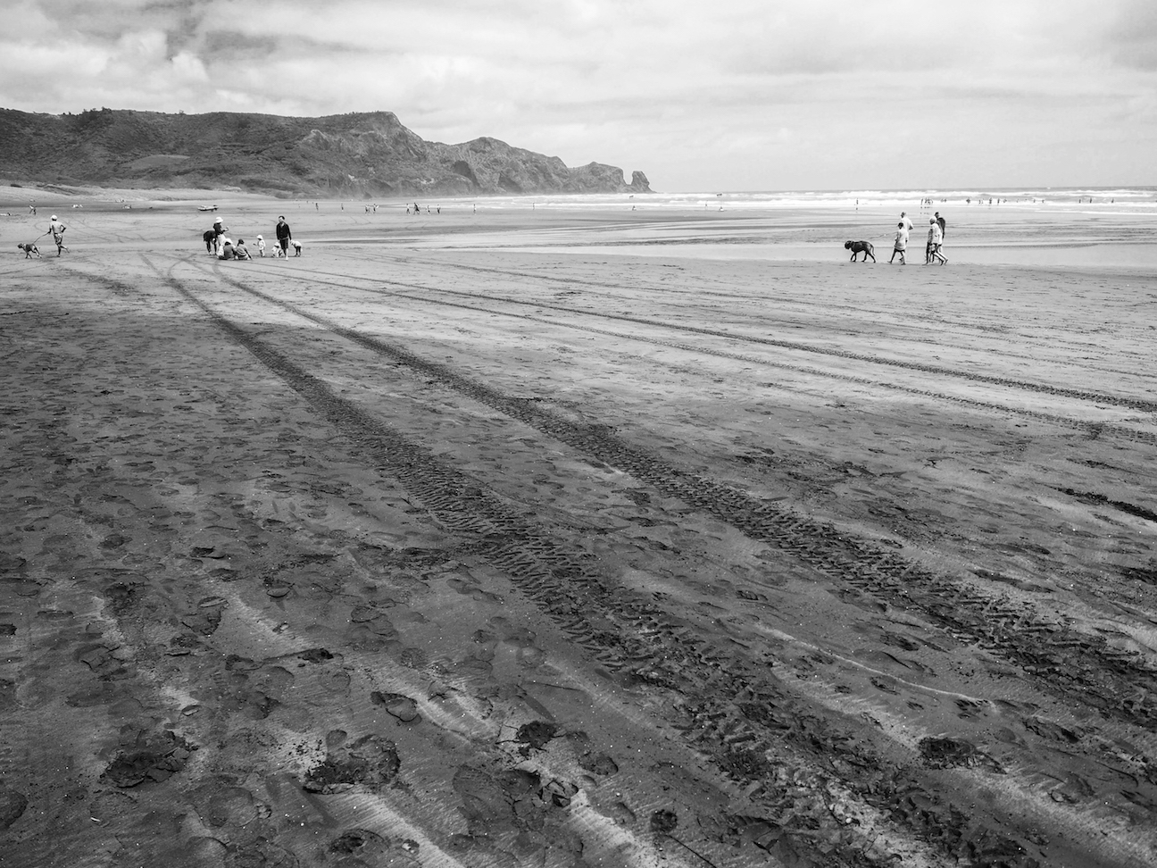 Bethells Beach - Black & White - Landscape Photography Auckland