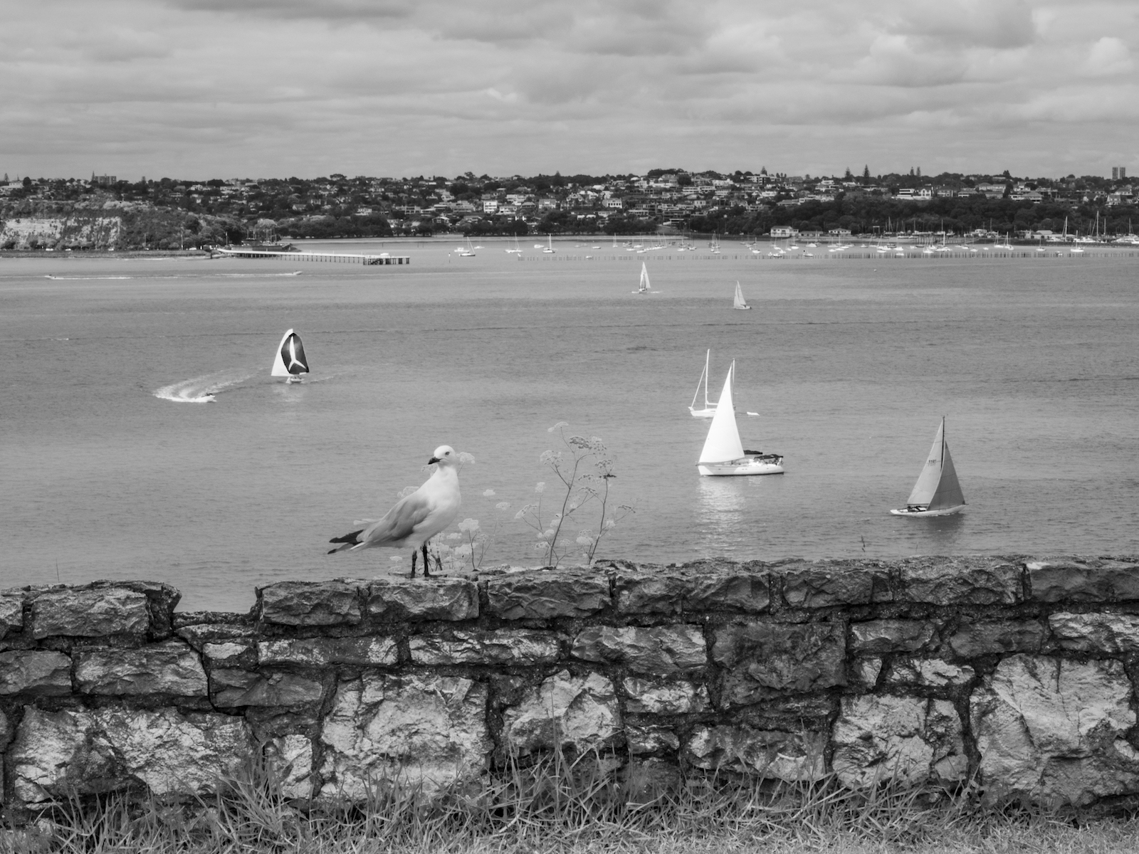 Devonport North Head