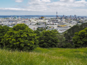 Mt Eden Skyline View - Street Photography Auckland