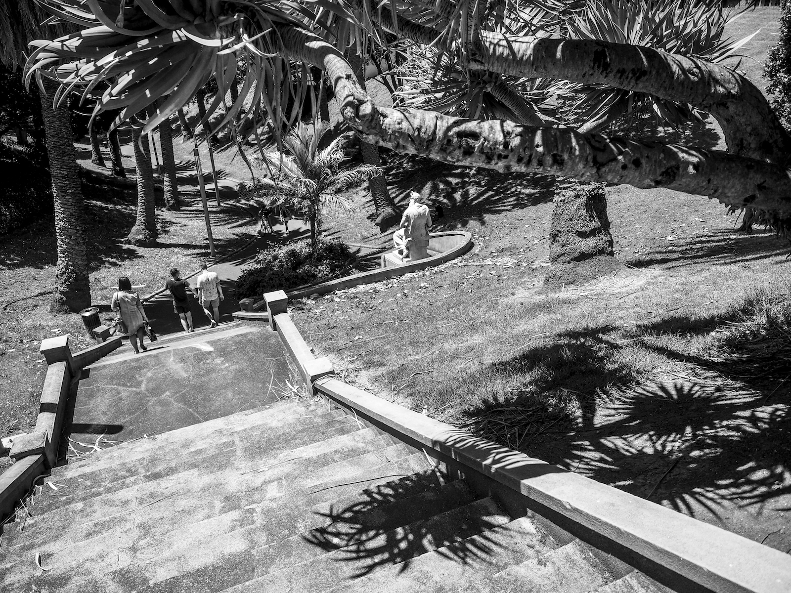 Myers Park - Black & White - Street Photography Auckland