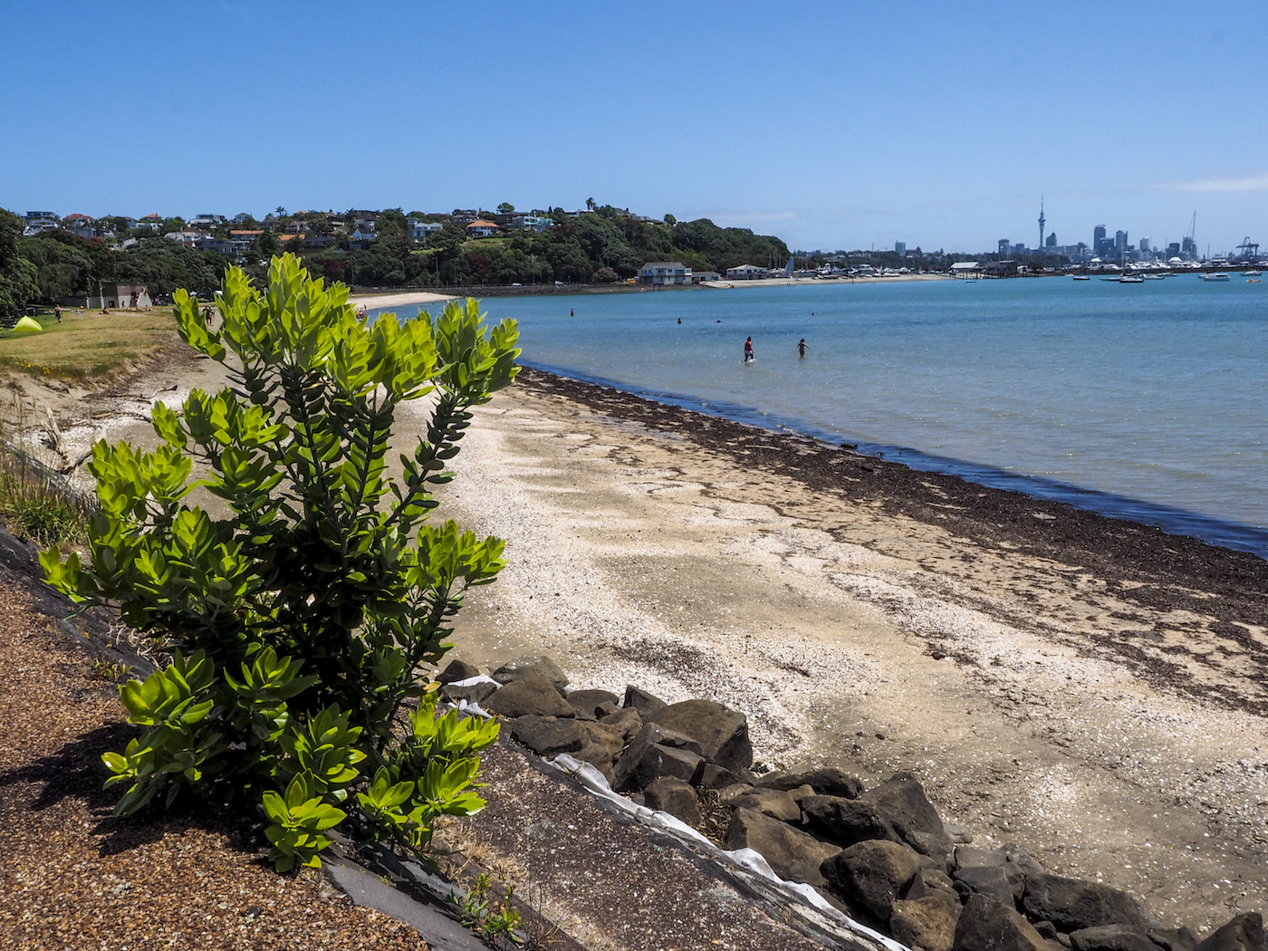 Okahu Bay Beach - Street Photography Auckland