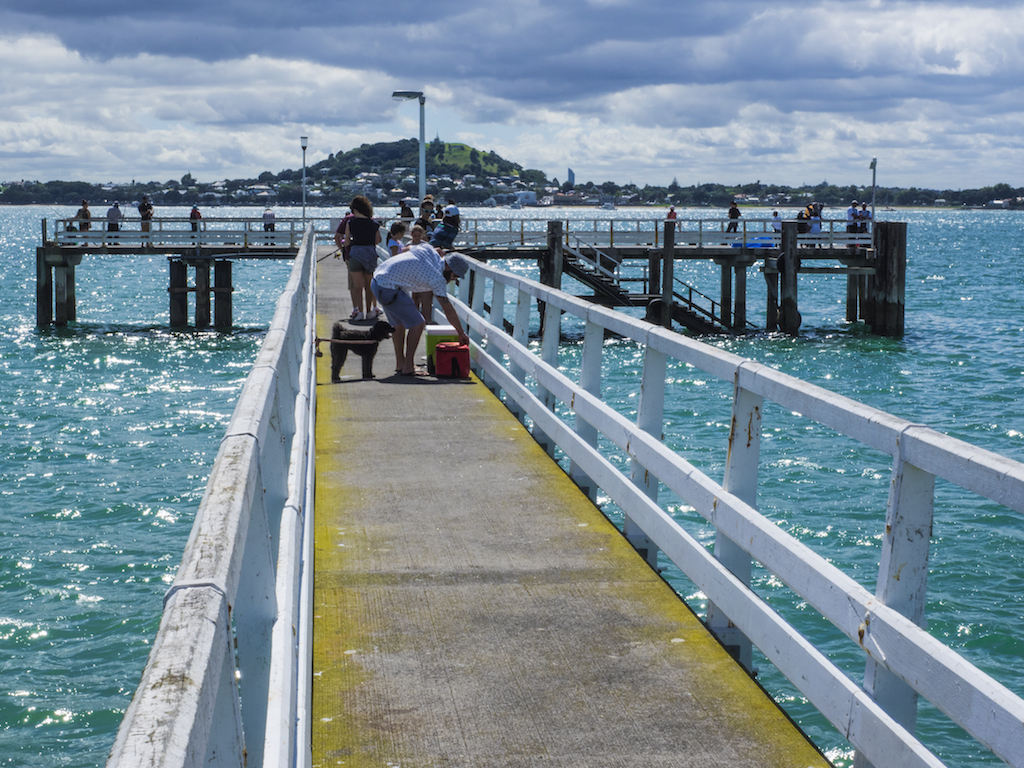 Okahu Bay Quay – Street Photography Auckland