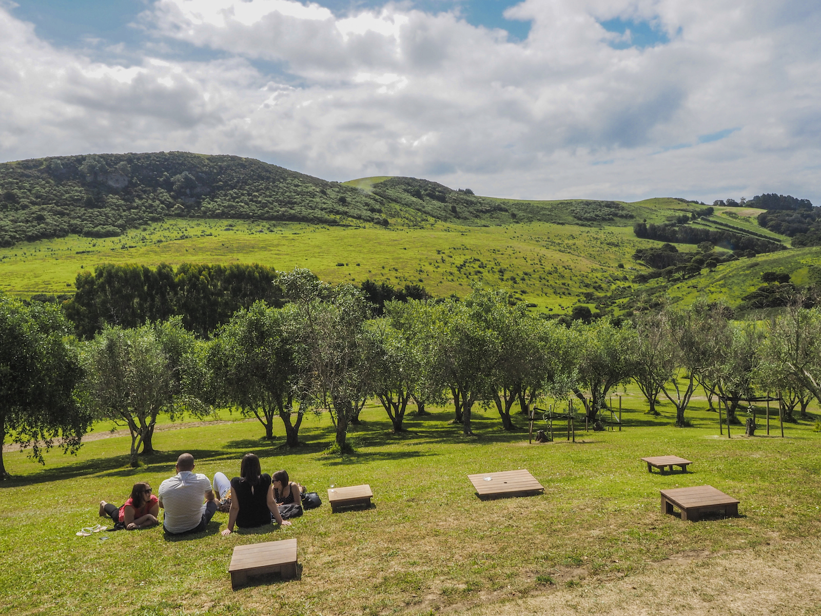 Waiheke Island Vineyard - Landscape Photography Auckland