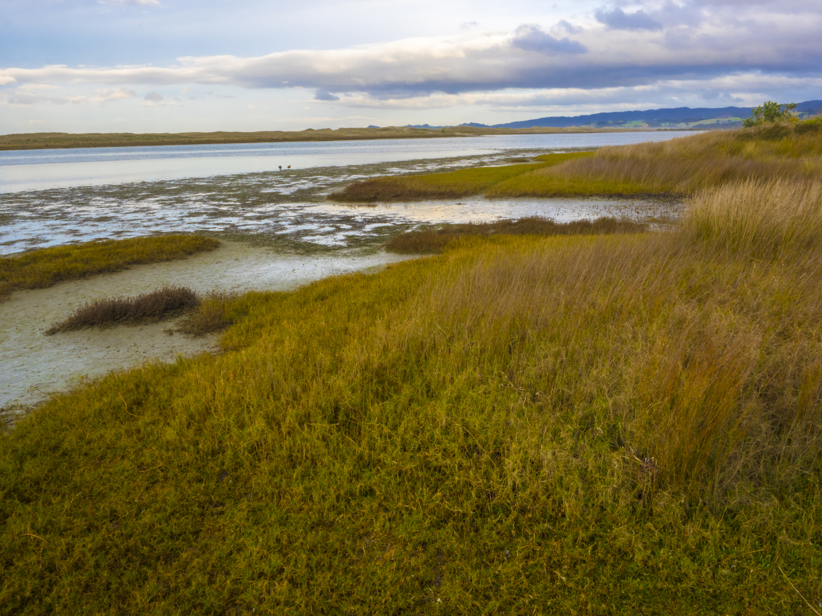 Waipu Cove - Landscape Photography - Auckland