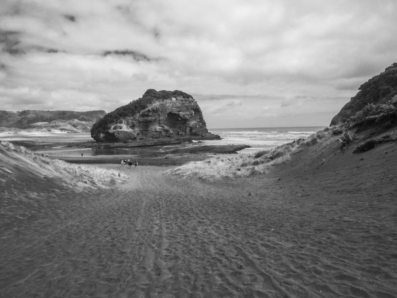 Bethells Beach View - Black & White - Landscape Photography