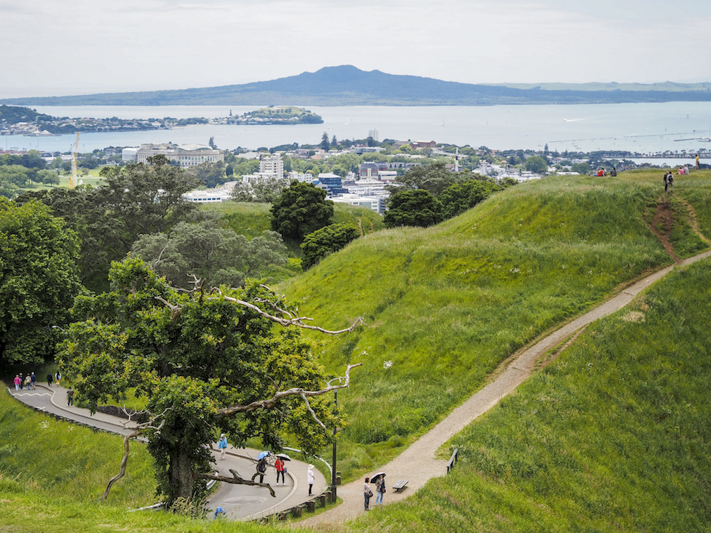 Mt Eden Tree - Street Photography - Auckland