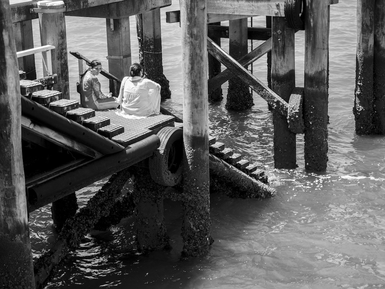 Okahu Bay Pier - Black & White - Street Photography Auckland