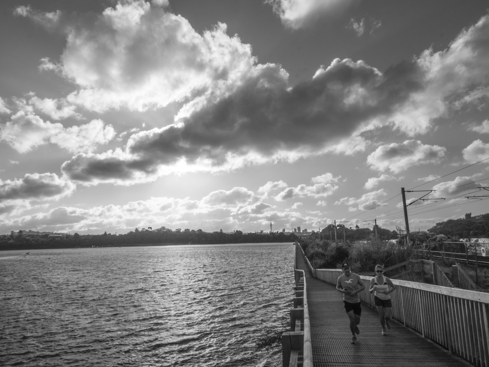 Orakei Basin - Black & White - Street Photography Auckland