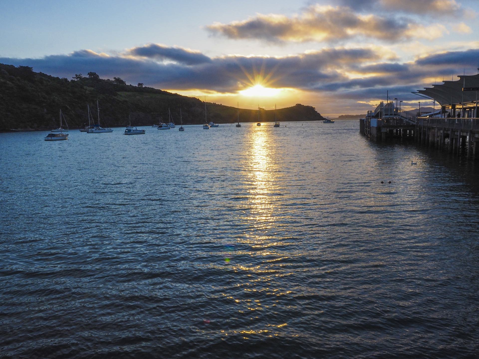 Waiheke Island Sunset - Street Photography Auckland