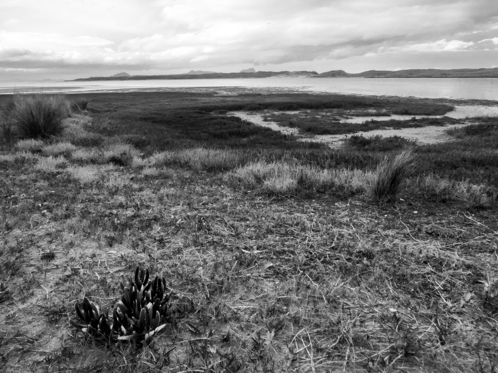 Waipu Cove - Black & White