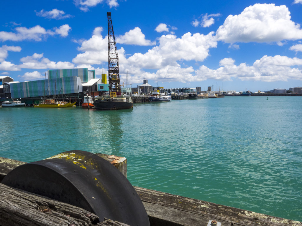 Yacht Harbour Auckland