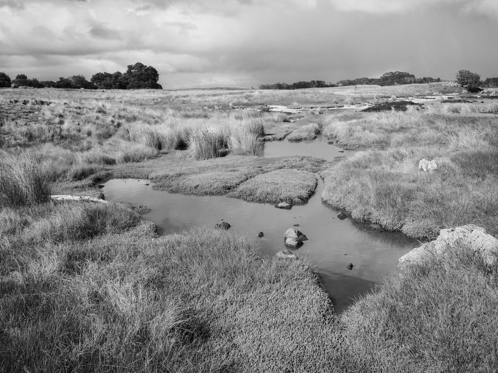 Ambury Regional Park