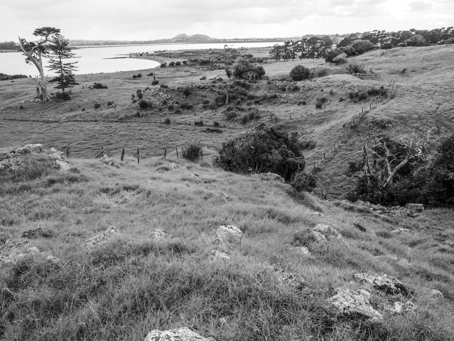 Otuataua Hills Mangere Black and White
