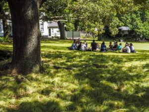 St Albert Park - Street Photography