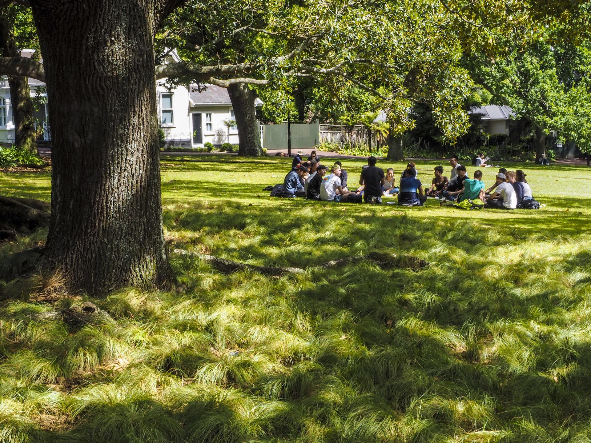 St Albert Park - Street Photography