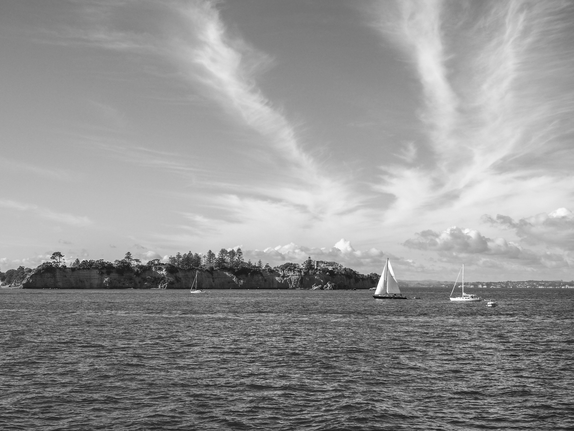 Landscape photo from Waiheke Island Ferry