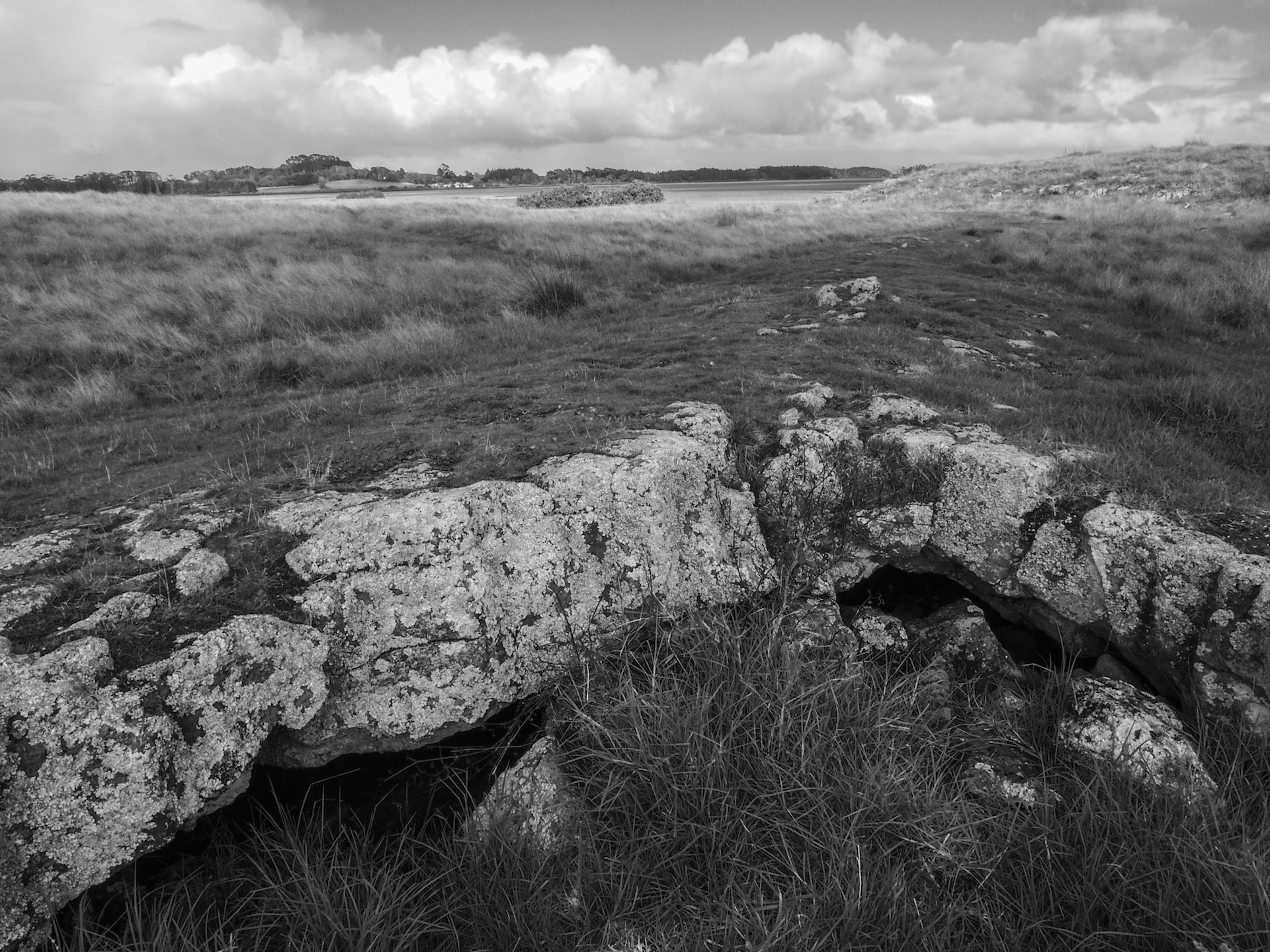 Image showing the Lava fields in the Ambury Regional Park