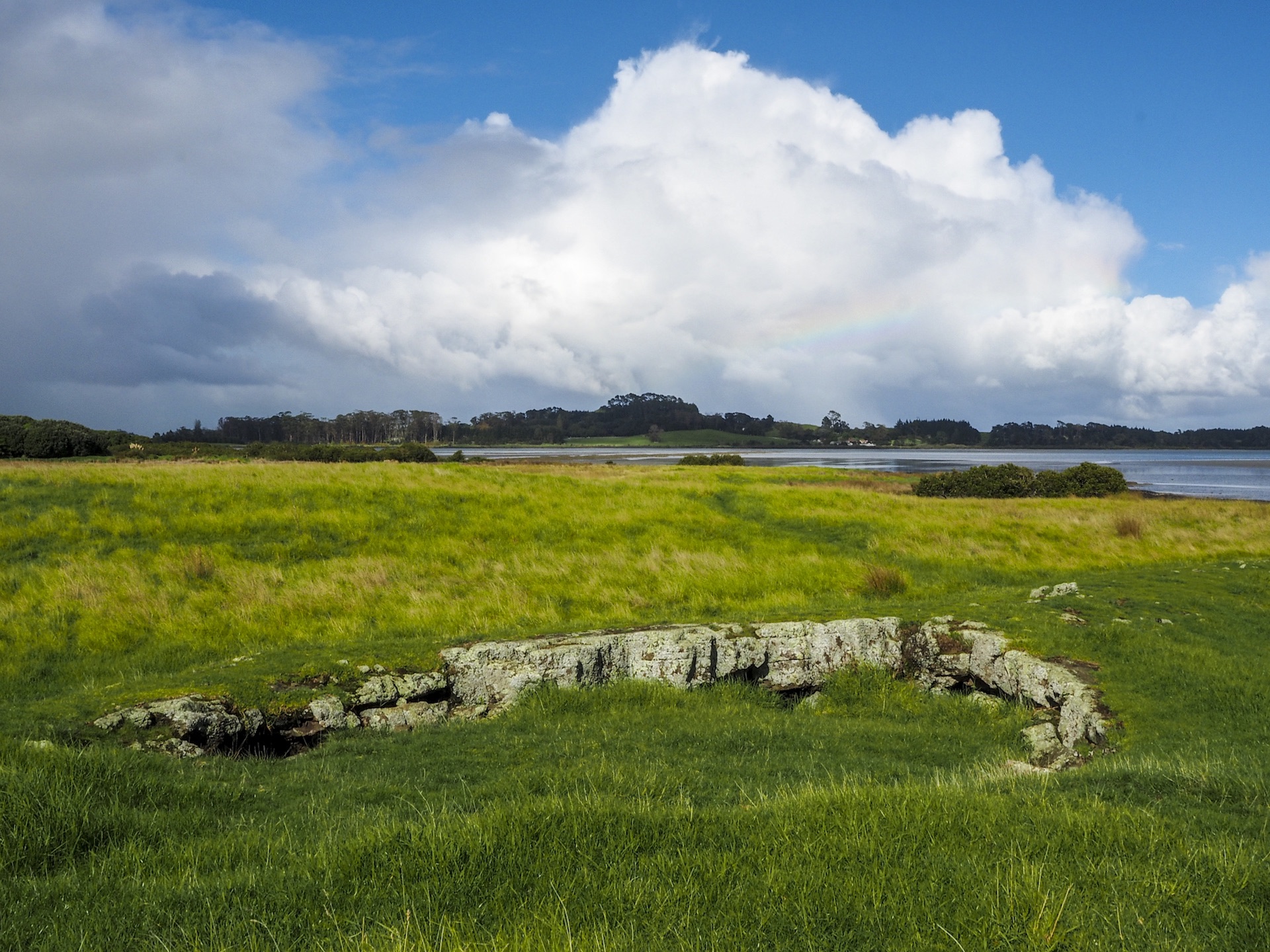 Ambury Park Lava Fields