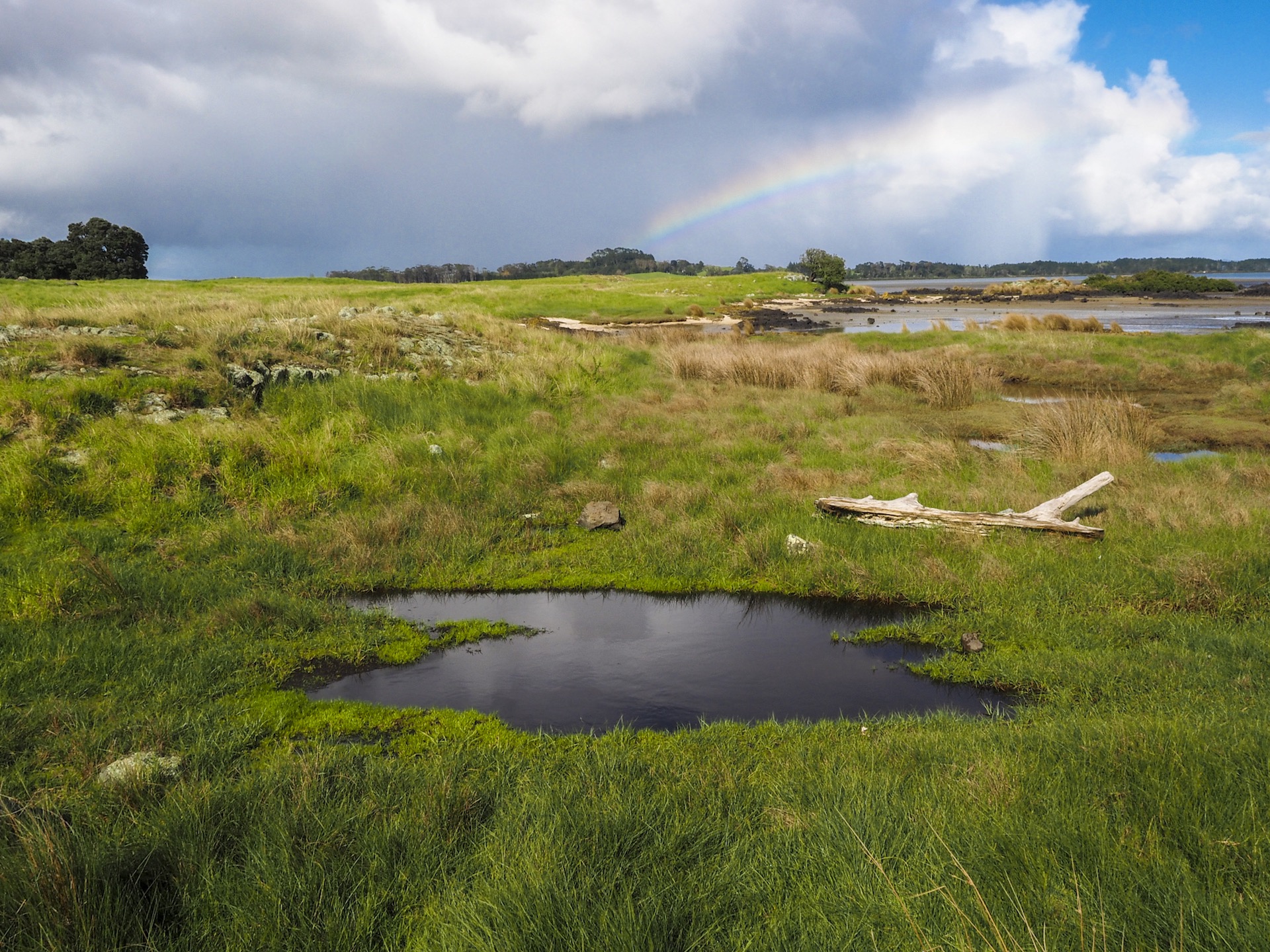 Image showing Ambury Regional Park with Rainbow