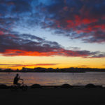 Sunset Cycling in Auckland Viaduct Harbour