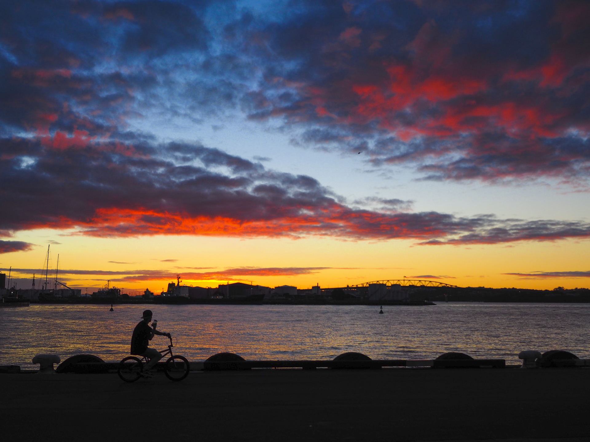 Sunset Cycling in Auckland Viaduct Harbour