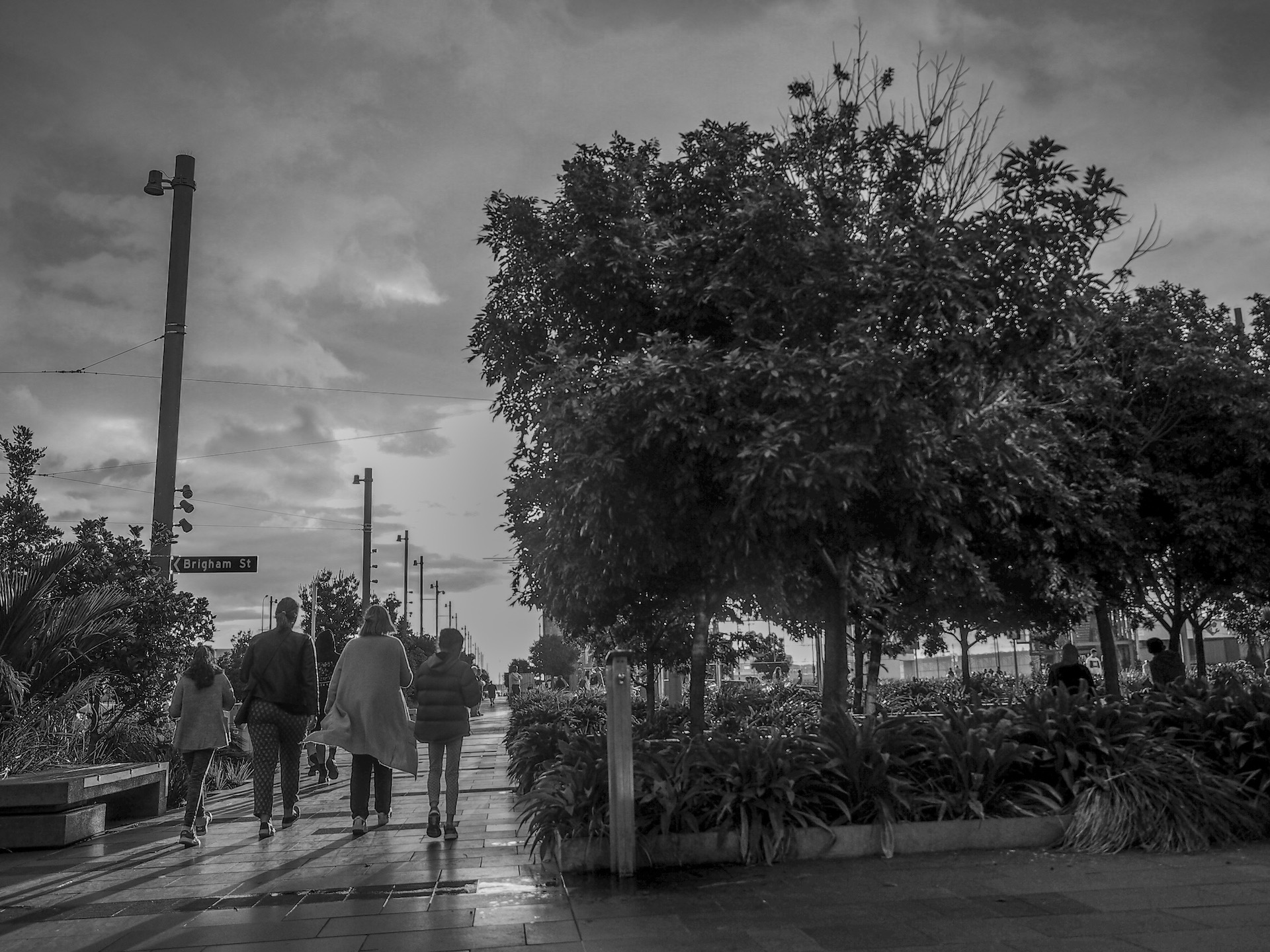 Family walking along Wynyard Quarter Silo Park