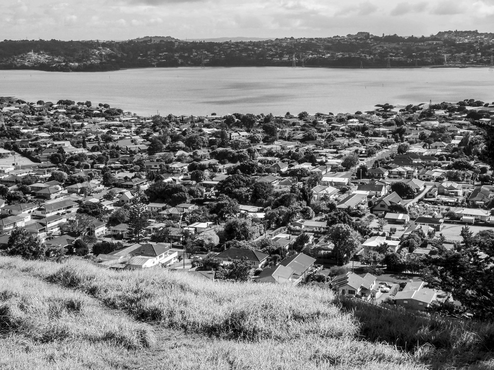 Image of the Mangere Bridge Sububr