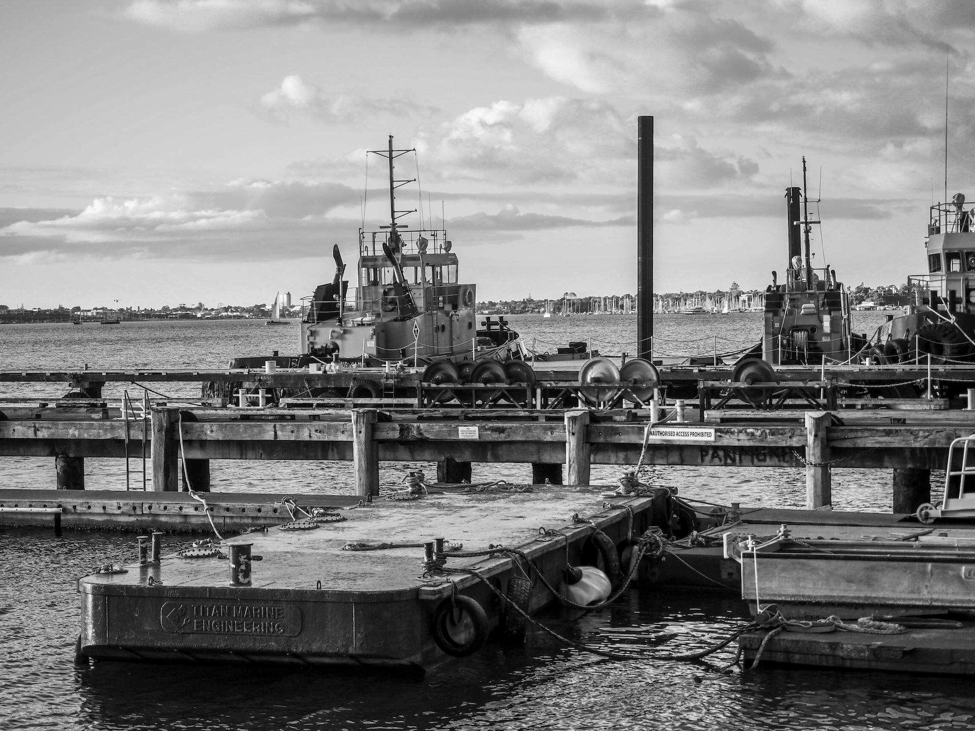 Silo Marina Wynyard Quarter in Black and White