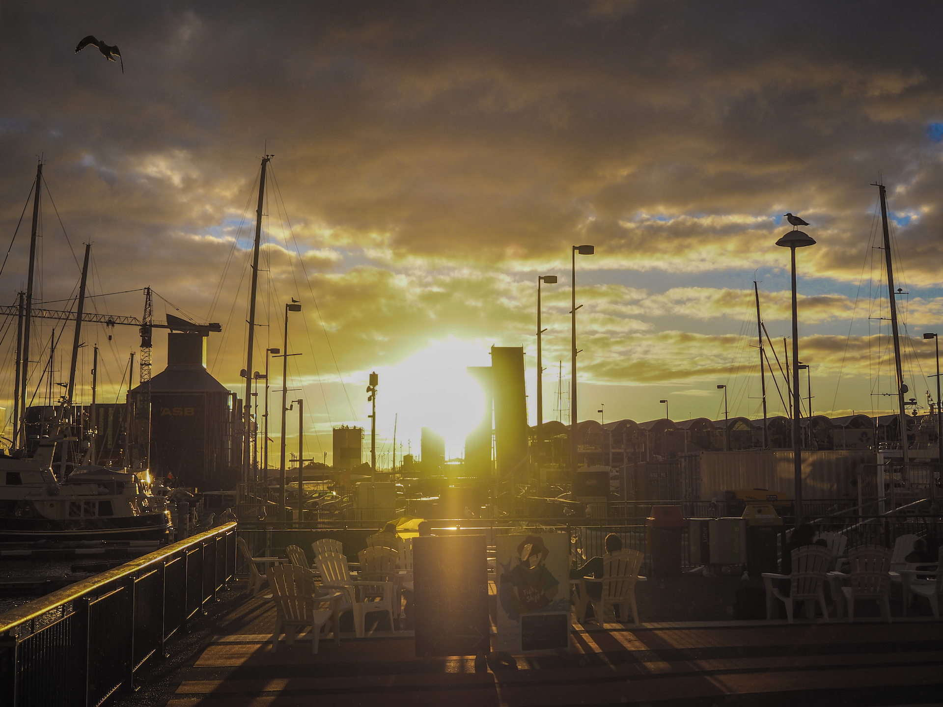 Beautiful Sunset at Viaduct Harbour