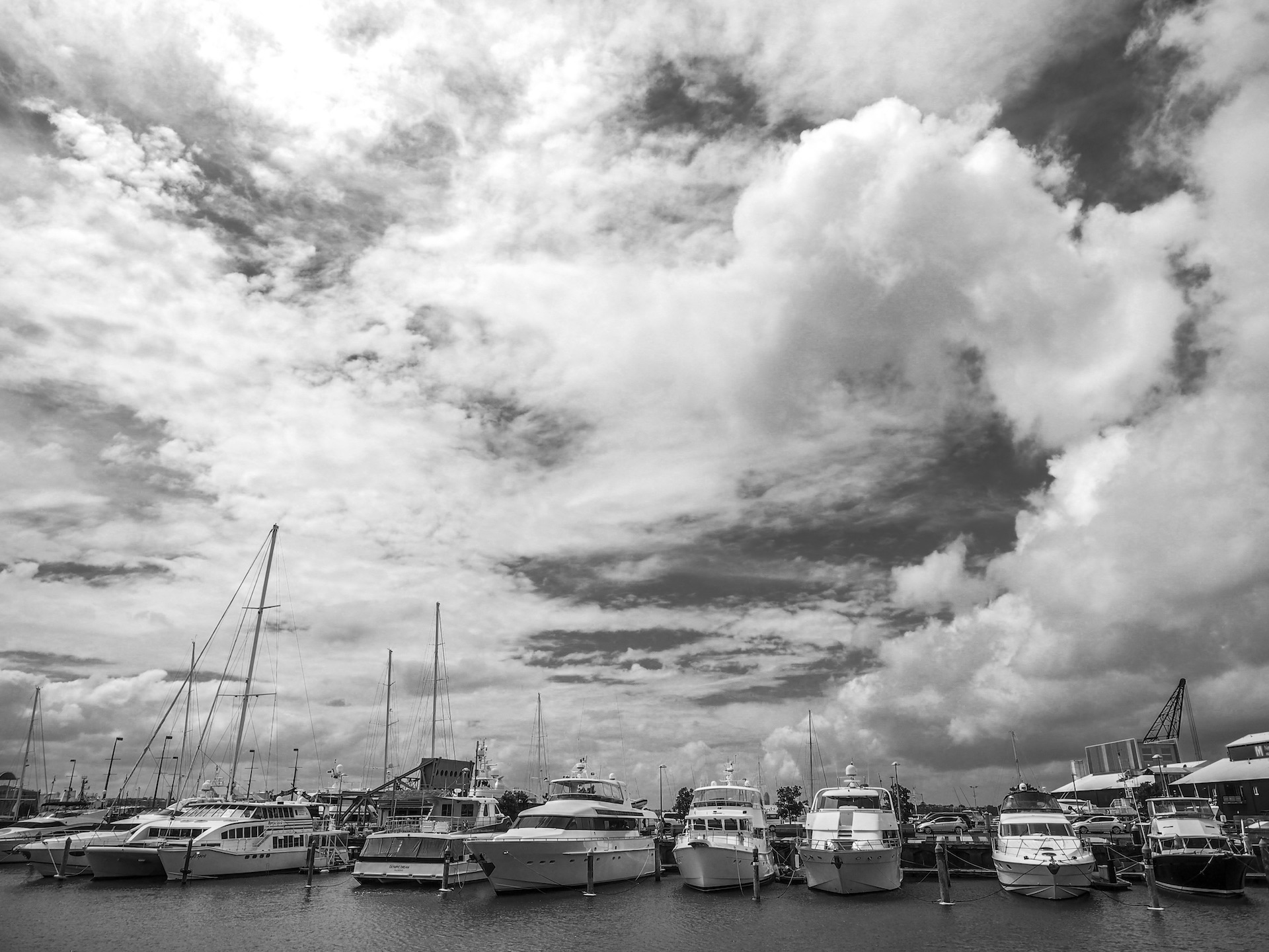Yachts in the Viaduct Basin in Auckland Harbour