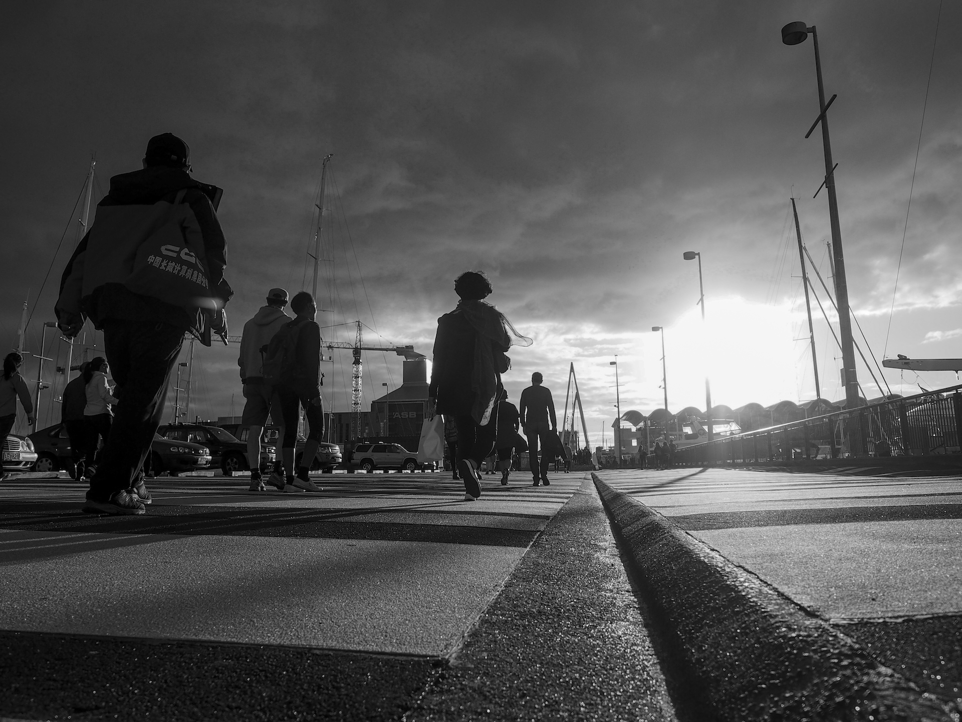 Viaduct Harbour Bridge in black and white at sunset