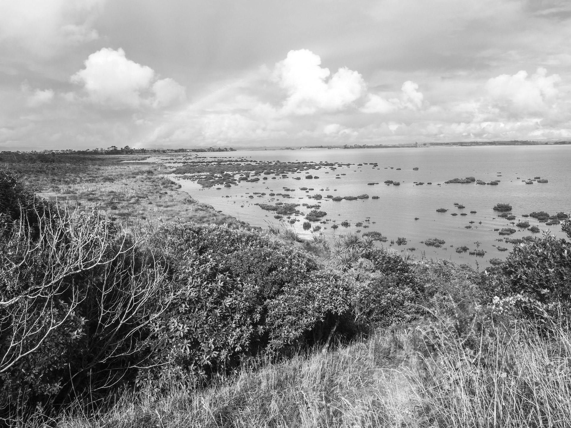 Puhinui Reserve Manurewa