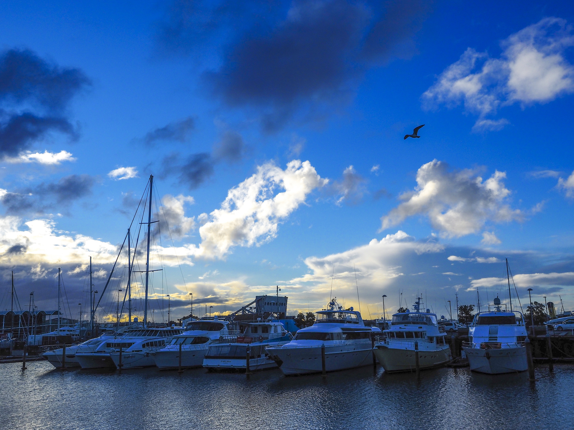 Winter Sunset Viaduct Harbour
