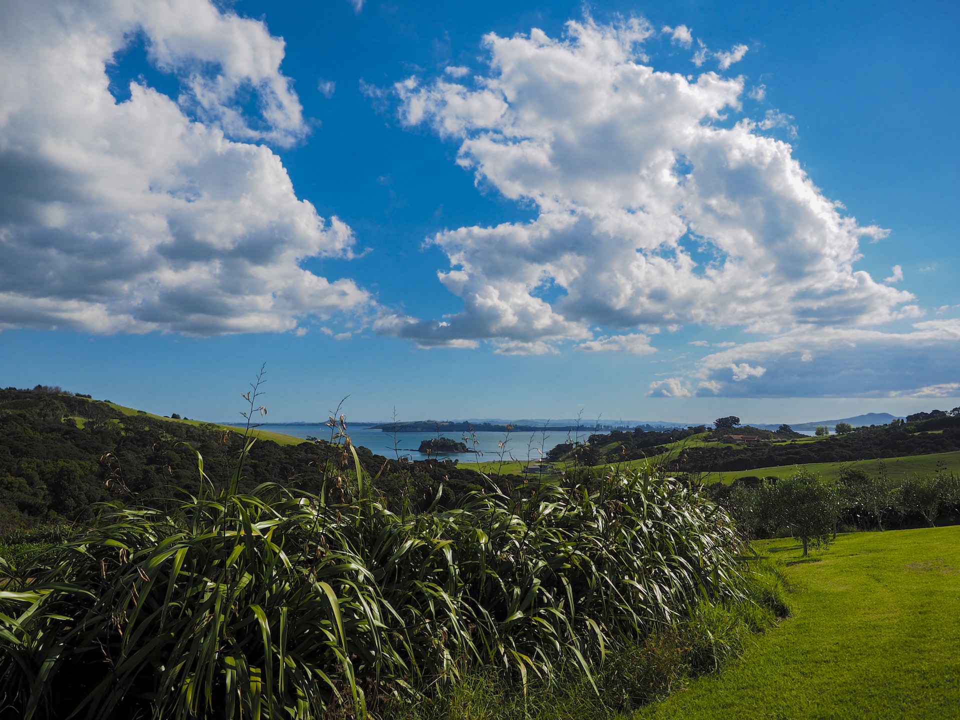 Cable Bay Vineyards Waiheke Island