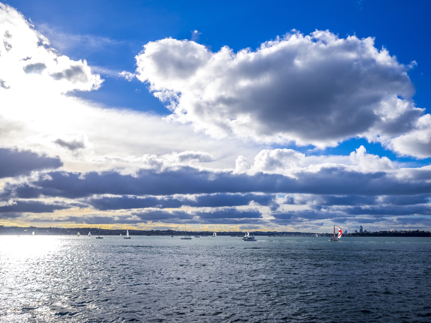 Auckland Harbour Sailing - Street Photography Auckland