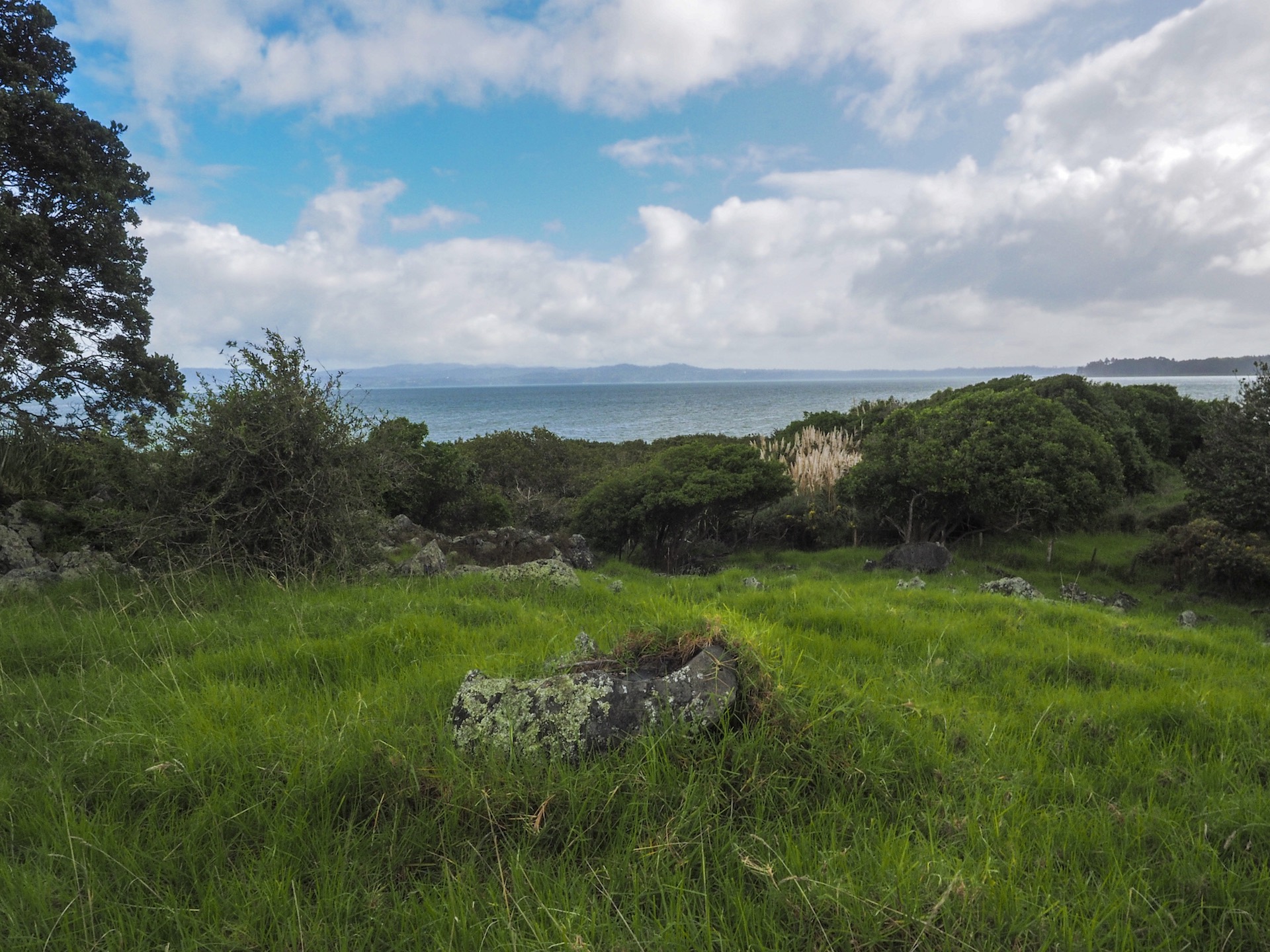 Otuataua Stonefields Landscape Photography Auckland