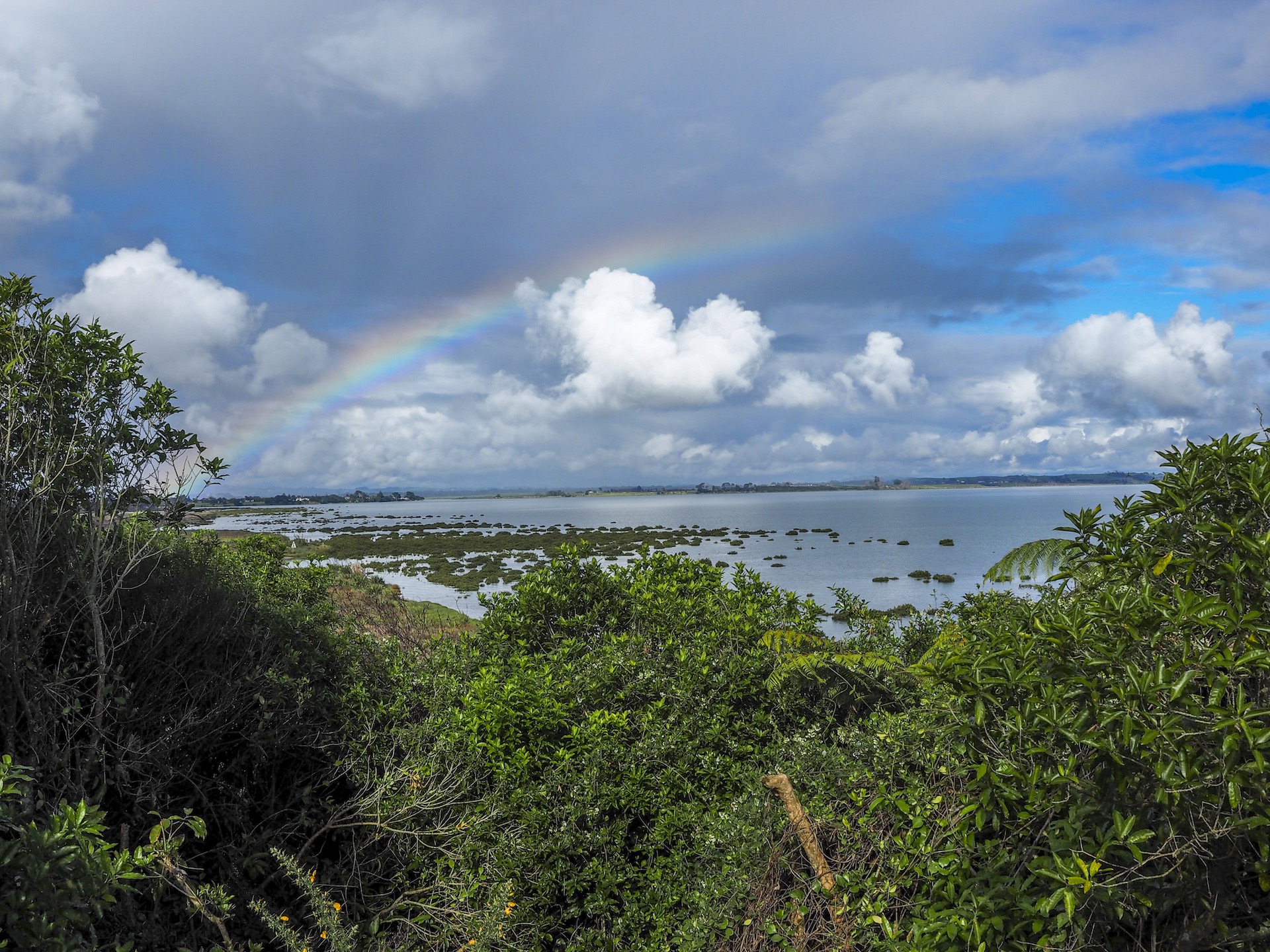 Puhinui Reserve Rainbow - Landscape Photography Auckland