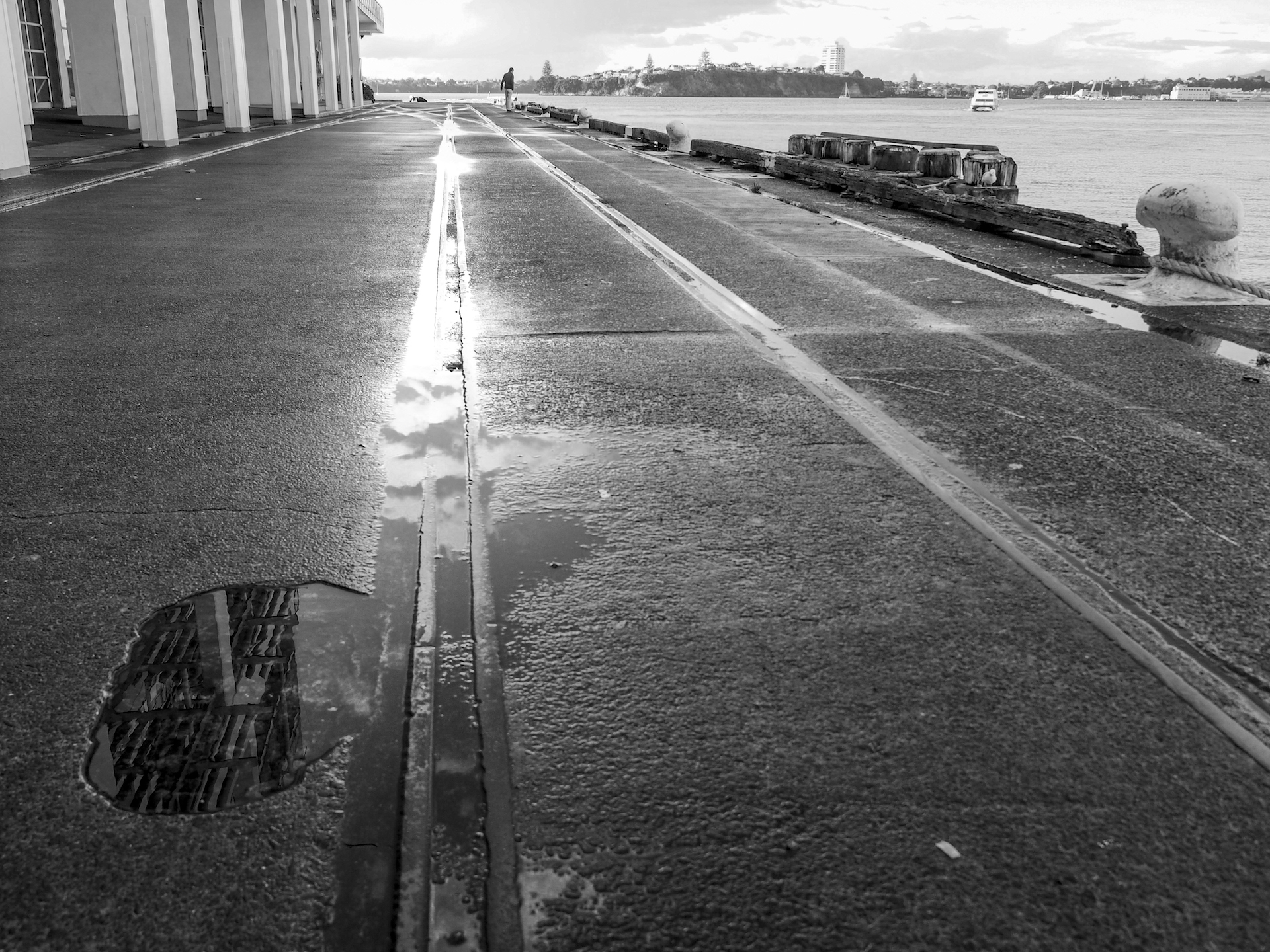 Viaduct Water Puddle Street Photography Auckland