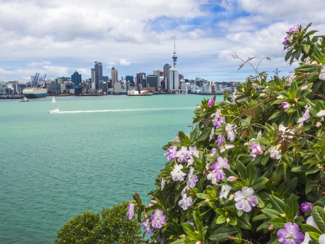 devonport-auckland-skyline